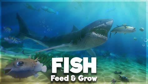 feed n grow|Feed and Grow: Fish .